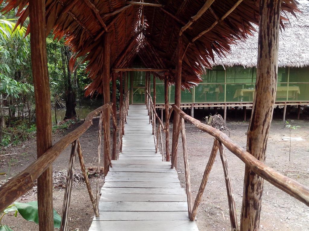 Amazon Queen Lodge Mazán Pokój zdjęcie