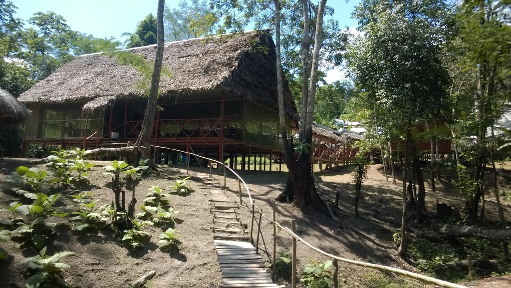 Amazon Queen Lodge Mazán Pokój zdjęcie