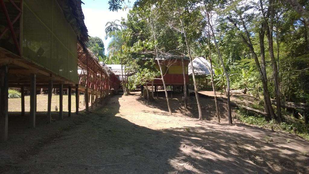 Amazon Queen Lodge Mazán Pokój zdjęcie
