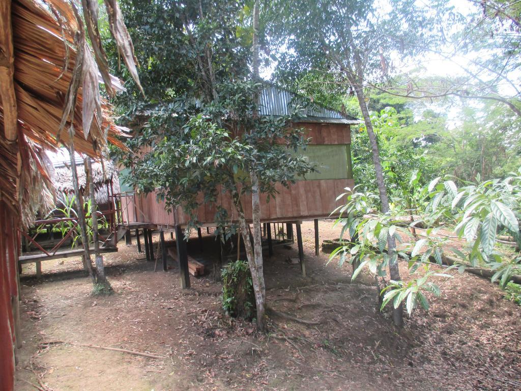 Amazon Queen Lodge Mazán Zewnętrze zdjęcie